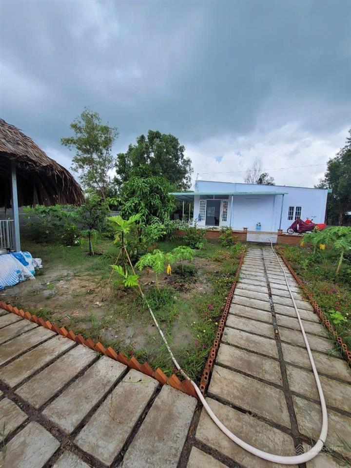 Bán nhà vườn có sẵn nhà chòi. nhà cấp 4 vườn cây ăn trái. xã hiệp hòa long an hướng gần sân golf