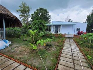 Bán nhà vườn có sẵn nhà chòi . nhà cấp 4 vườn cây ăn trái
xã hiệp hòa long an hướng gần sân golf