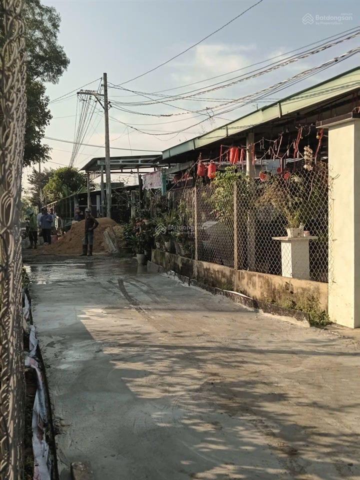 Bán nhà vườn có sẵn nhà chòi. nhà cấp 4 vườn cây ăn trái. xã hiệp hòa long an hướng gần sân golf