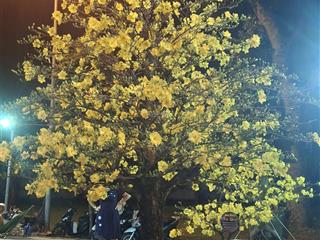 Cho thuê phòng căn hộ dịch vụ
địa chỉ 465/ nguyễn văn công, p3, gò vấp. giá 6,5 triệu. 0985 243 ***