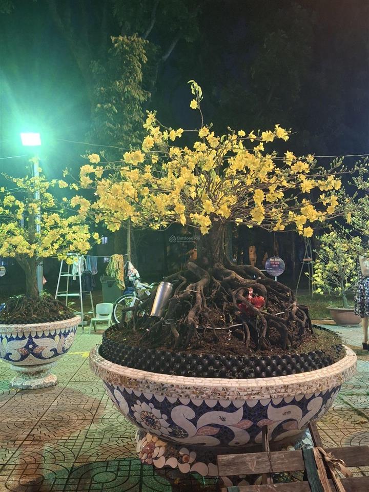 Cho thuê phòng căn hộ dịch vụ
địa chỉ 223/ nguyễn văn công, p3, gò vấp. giá 5,5 triệu. 0985 243 ***