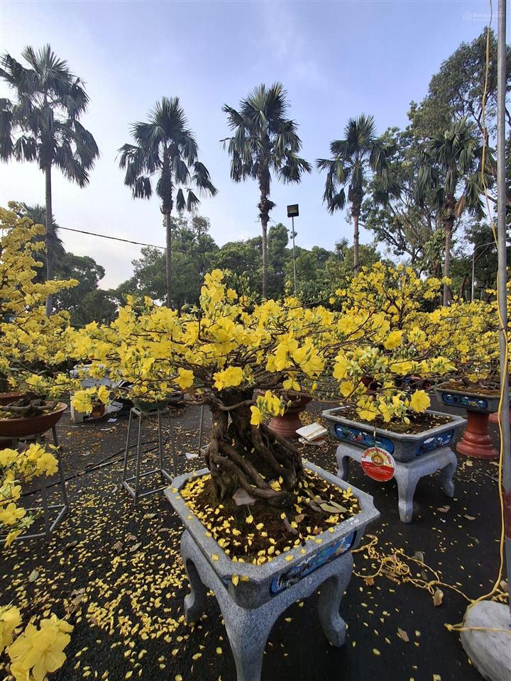 Cho thuê phòng căn hộ dịch vụ
địa chỉ 223/ nguyễn văn công, p3, gò vấp. giá 5,5 triệu. 0985 243 ***