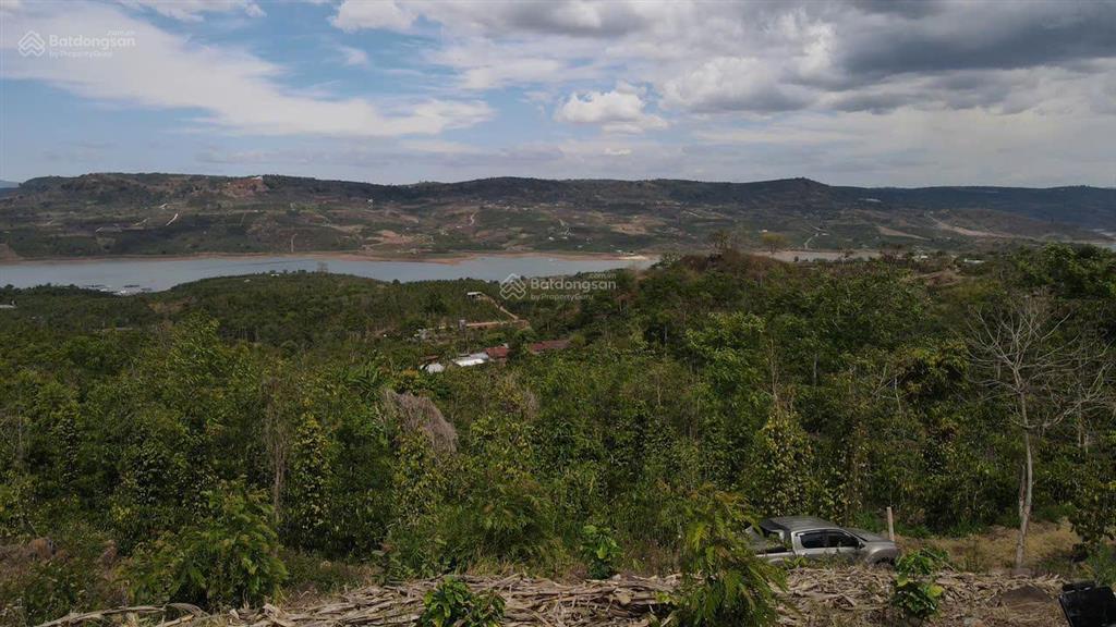 Bán gấp đất tân nghĩa, lâm đồng 2.408m đất trồng cây lâu năm, view sông đồng nai, giá 1,45 tỷ