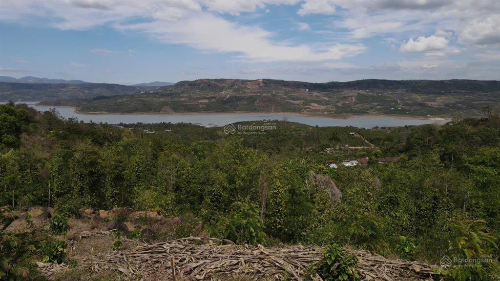 Bán gấp đất tân nghĩa, lâm đồng 2.408m đất trồng cây lâu năm, view sông đồng nai, giá 1,45 tỷ