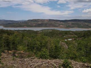 Bán gấp đất tân nghĩa, lâm đồng 2.408m² đất trồng cây lâu năm, view sông đồng nai, giá 1,38 tỷ