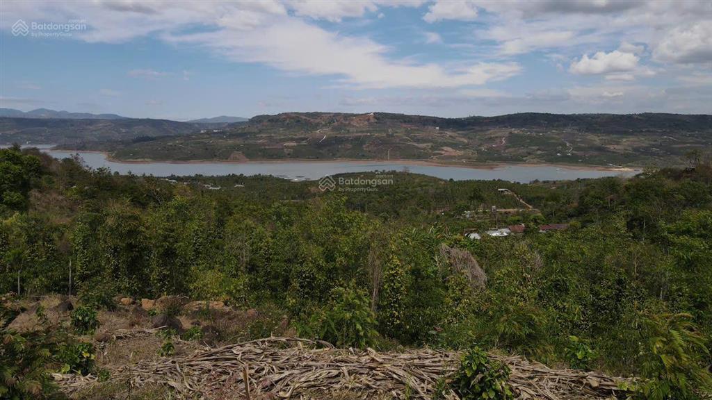 Bán gấp đất tân nghĩa, lâm đồng 2.408m đất trồng cây lâu năm, view sông đồng nai, giá 1,45 tỷ
