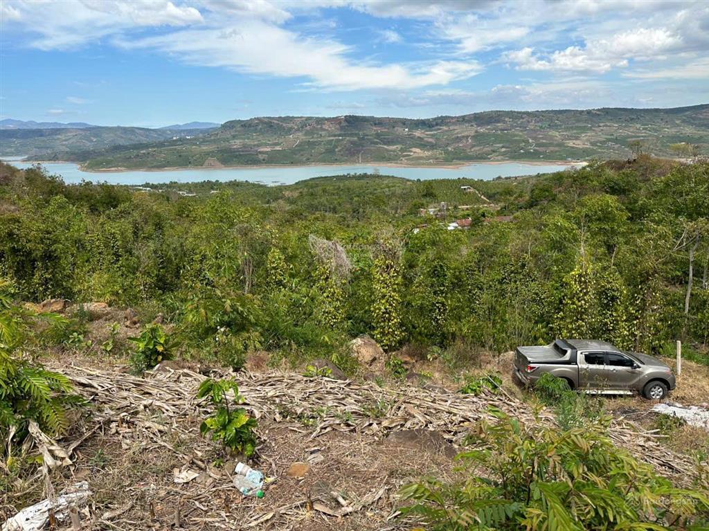 Bán gấp đất tân nghĩa, lâm đồng 2.408m đất trồng cây lâu năm, view sông đồng nai, giá 1,45 tỷ