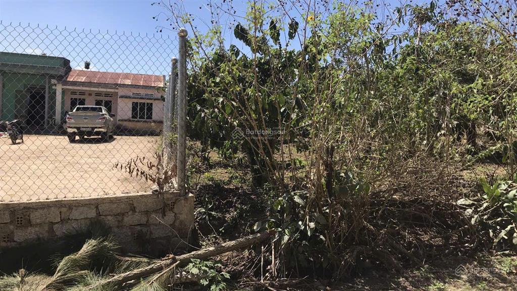 Chính chủ bán đất thổ cư diện tích 2439.3m² phú sơn  lâm hà, cách đà lạt 40km