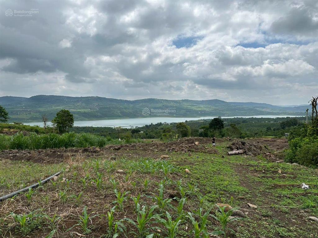 Cần tiền bán gấp 8.370m² đất di linh view sông đồng nai, mặt tiền đẹp  giá chỉ 4,6 tỷ