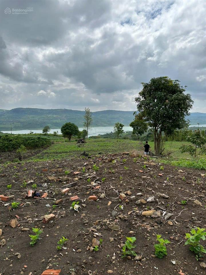 Cần tiền bán gấp 8.370m² đất di linh view sông đồng nai, mặt tiền đẹp  giá chỉ 4,6 tỷ