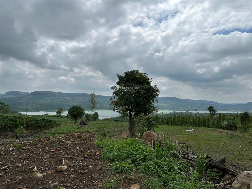 Cần tiền bán gấp 8.370m² đất di linh view sông đồng nai, mặt tiền đẹp  giá chỉ 4,6 tỷ