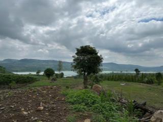 Cần tiền bán gấp 8.370m² đất di linh view sông đồng nai, mặt tiền đẹp  giá chỉ 4,6 tỷ