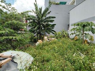 Đất thổ cư sổ hồng riêng 3,2m x 16m