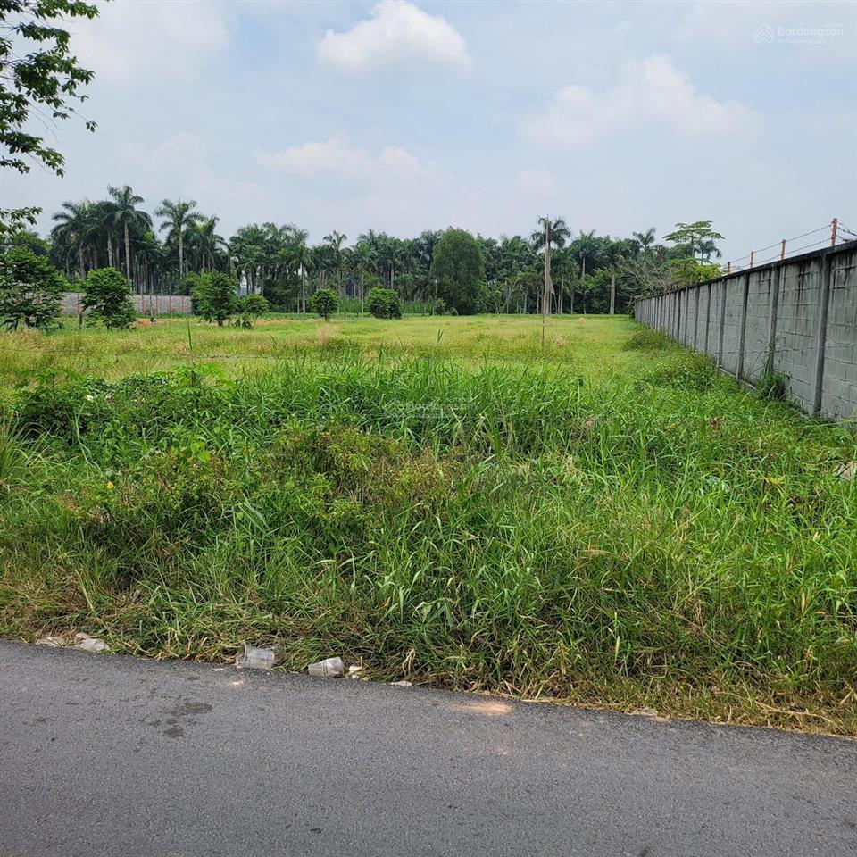 Bán đất thổ cư 3520m2 đường bê tông cách quốc lộ 22, 300m, giá 22 tỷ