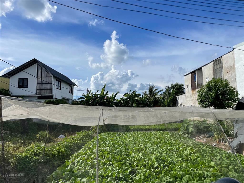 Đất thổ cư 8x30m ở đường bùi thị lùng, shr