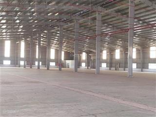 Cho thuê kho xưởng 10.000m² trong kcn đức hòa 3 long an