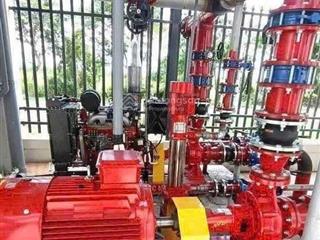 Cho thuê kho xưởng 1.400m2 trảng bàng, tây ninh