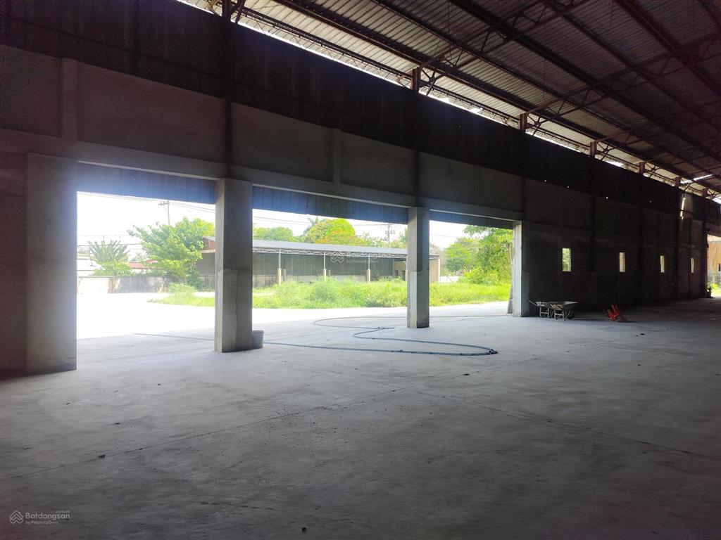 Cho thuê kho xưởng khuôn viên 5000m2 đường số 9 tân thông hội củ chi