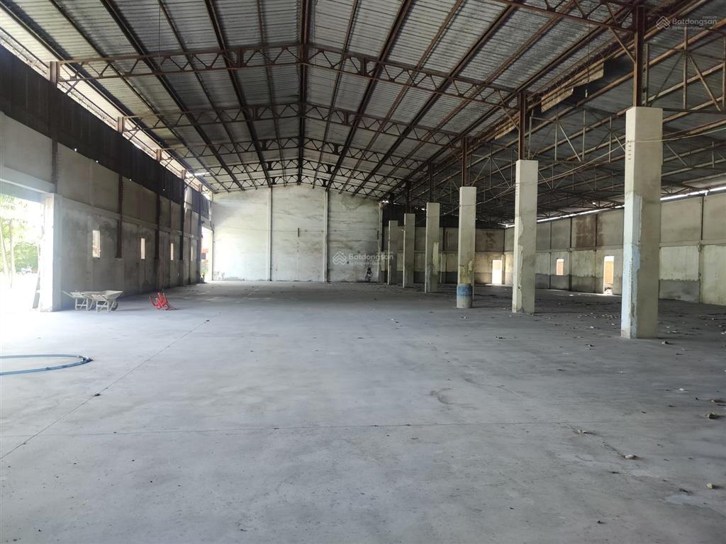 Cho thuê kho xưởng khuôn viên 5000m2 đường số 9 tân thông hội củ chi