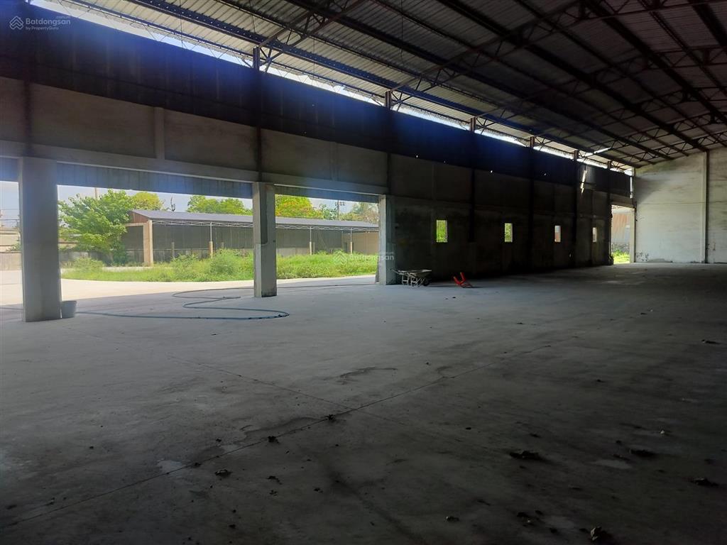 Cho thuê kho xưởng khuôn viên 5000m2 đường số 9 tân thông hội củ chi