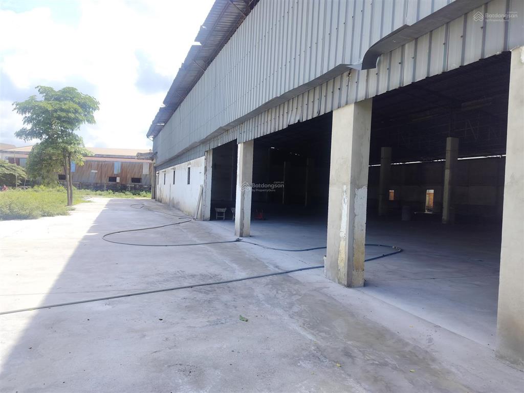 Cho thuê kho xưởng khuôn viên 5000m2 đường số 9 tân thông hội củ chi