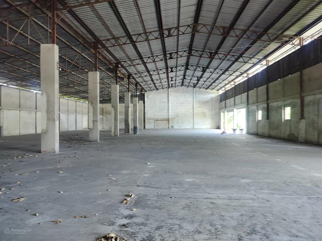 Cho thuê kho xưởng khuôn viên 5000m2 đường số 9 tân thông hội củ chi
