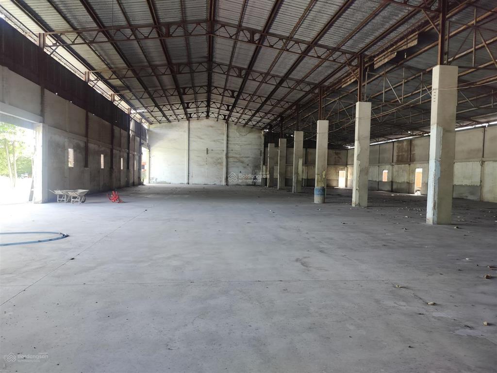 Cho thuê kho xưởng khuôn viên 5000m2 đường số 9 tân thông hội củ chi