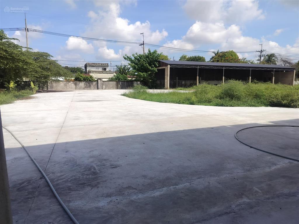 Cho thuê kho xưởng khuôn viên 5000m2 đường số 9 tân thông hội củ chi