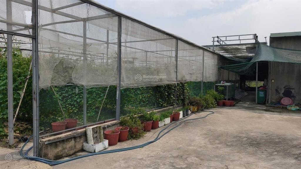 Bán lô đất 1.051m2 một sẹc đường số 89 tân phú trung củ chi