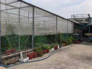 Bán lô đất 1.051m2 một sẹc đường số 89 tân phú trung củ chi