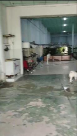 Cho thuê kho xưởng khuôn viên 2000m2 một sẹc đường tỉnh lộ 8, xã phú hòa đông, củ chi