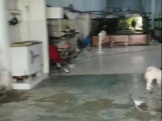 Cho thuê kho xưởng khuôn viên 2000m2 một sẹc đường tỉnh lộ 8, xã phú hòa đông, củ chi
