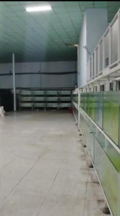 Cho thuê kho xưởng khuôn viên 2000m2 một sẹc đường tỉnh lộ 8, xã phú hòa đông, củ chi