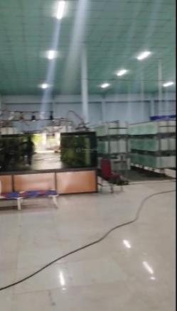 Cho thuê kho xưởng khuôn viên 2000m2 một sẹc đường tỉnh lộ 8, xã phú hòa đông, củ chi