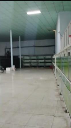 Cho thuê kho xưởng khuôn viên 2000m2 một sẹc đường tỉnh lộ 8, xã phú hòa đông, củ chi