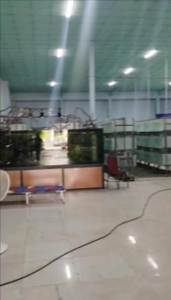 Cho thuê kho xưởng khuôn viên 2000m2 một sẹc đường tỉnh lộ 8, xã phú hòa đông, củ chi