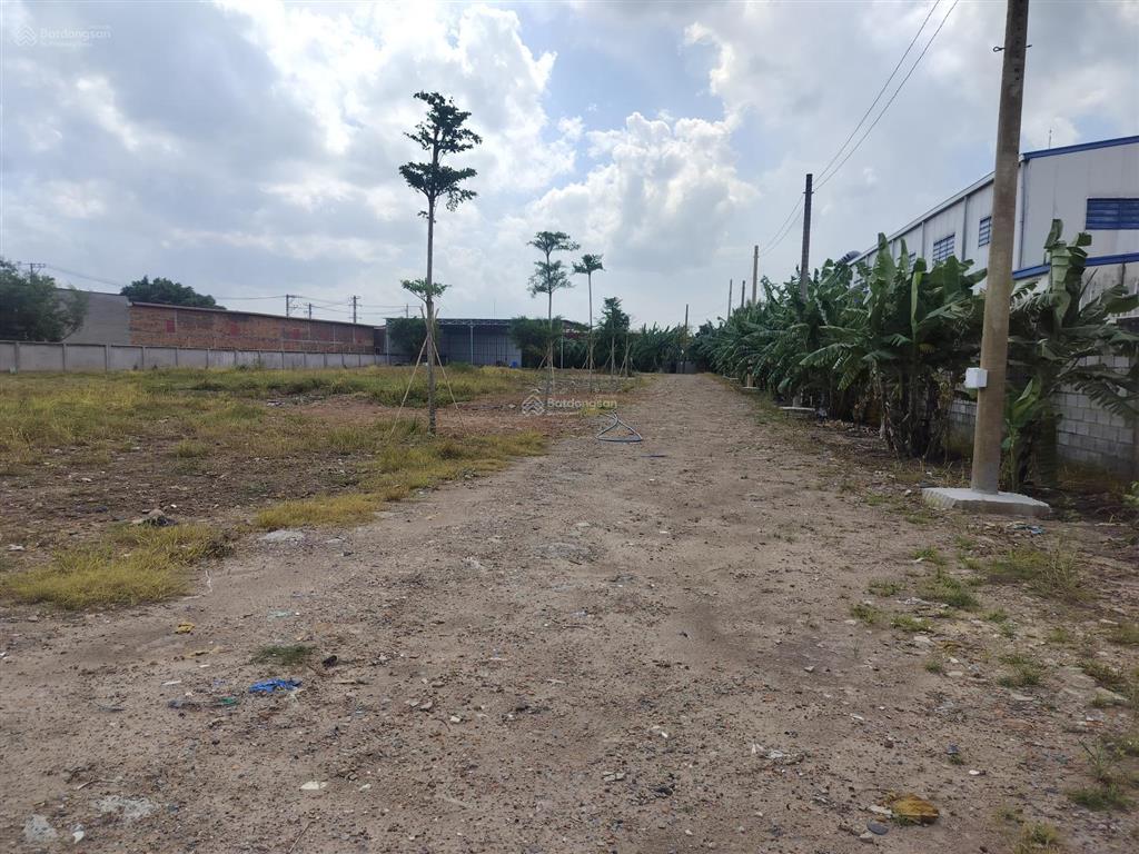 Cho thuê kho xưởng khuôn viên 3000m2 mặt tiền đường võ văn bích củ chi