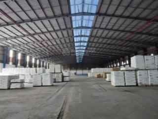 Cho thuê xưởng khuôn viên 15.000m2 đường hồ văn tăng tân phú trung củ chi