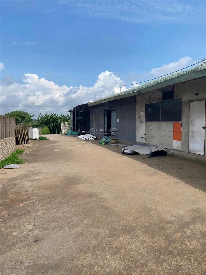 Cho thuê kho xưởng khuôn viên 2000m2 mặt tiền đường dương công khi tân hiệp hóc môn
