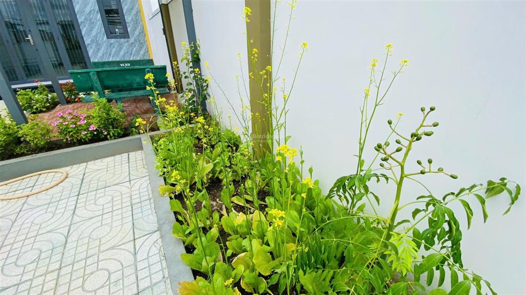 Bán gấp nhà 5 x 30m  sân vườn rộng thoáng shr, để đi du học