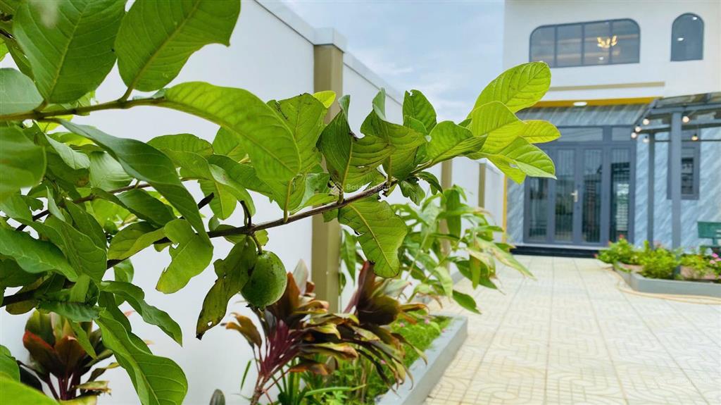 Bán gấp nhà 5 x 30m  sân vườn rộng thoáng shr, để đi du học