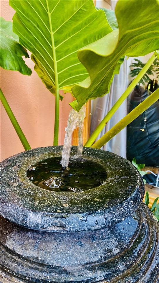 Bán nhà riêng homestay 5x16m gần ngã tư hóc môn, ql22 và lý thường kiệt