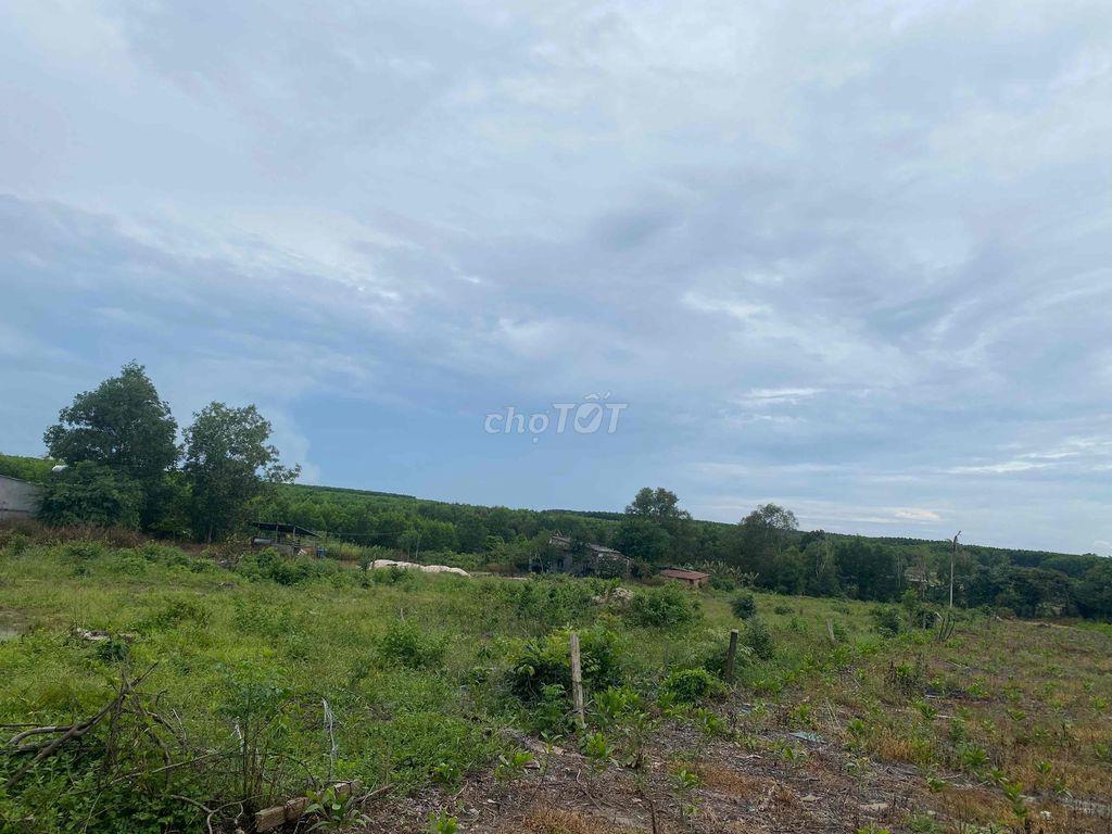 SIÊU PHẨM NGHỈ DƯỠNG - 5.000M² CÓ SUỐI SAU LƯNG GIÁ 3,6 TỶ
