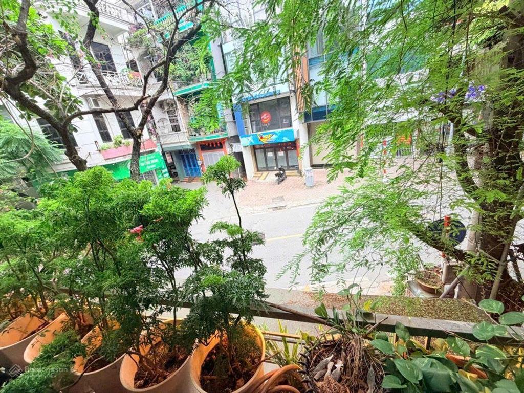 Mặt phố vương thừa vũ, lô góc, vỉa hè rộng, kinh doanh đỉnh, dt 60m2, mt 5m, giá 24.8 tỷ