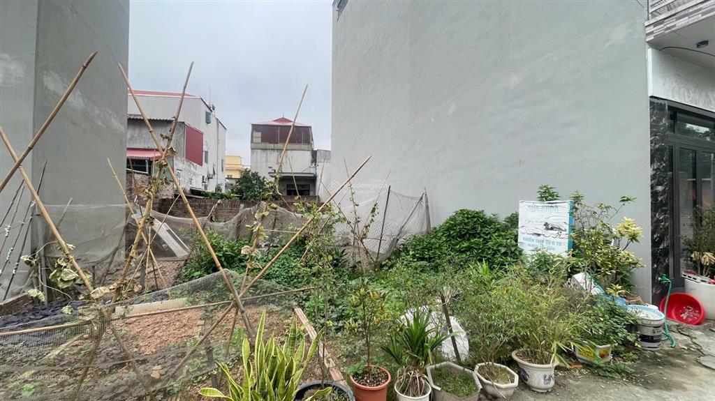 Bán 58m2 đất dương quang  gia lâm. ngõ ô tô cách đất chỉ 10m. giá 2.75 tỷ