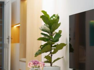 Bán căn hộ hot siêu hiếm tại chung cư 19t6 kiến hưng, căn góc 3 ngủ độc bản lại có sân vườn riêng