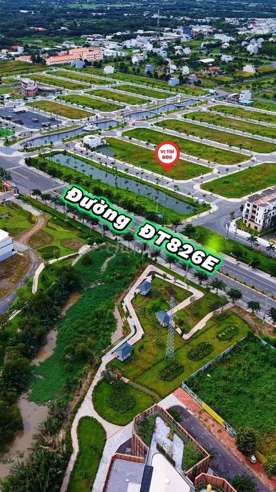 Nền Shophouse View Trực diện đường chính rộng 40m