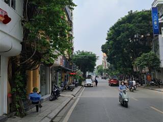 Bán nhà mặt phố ngọc khánh, giảng võ, ba đình vị trí đắc địa, cạnh vinhomes 16,5 tỷ