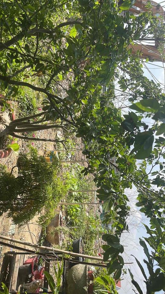 cho thuê nhà nguyên căn giá rẻ làm ở+ văn phòng+kinh doanh