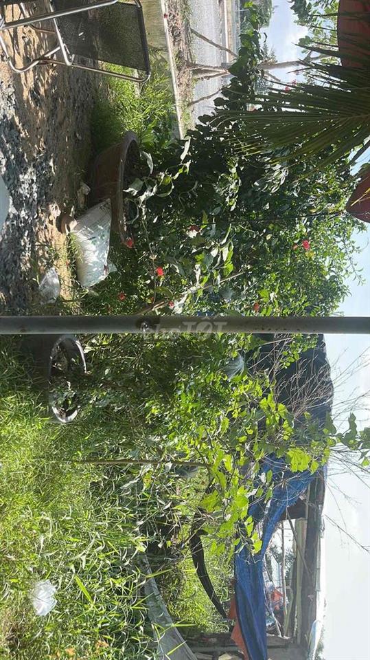 cho thuê nhà nguyên căn giá rẻ làm ở+ văn phòng+kinh doanh
